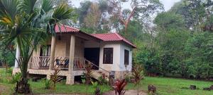 Tu Casa en la Selva Lacandona