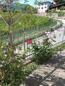 Home delite Il Vitigno