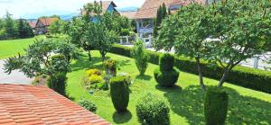 Apartman Marija Brajdic 