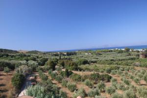 Ilis Villas Ilia Greece