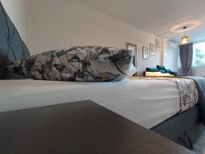 Studio Apartment Blue Pine
