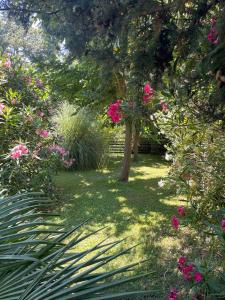 Maisons de vacances Gites au Chateau des Estubiers : photos des chambres