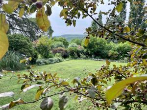 Maisons de vacances Gites au Chateau des Estubiers : photos des chambres