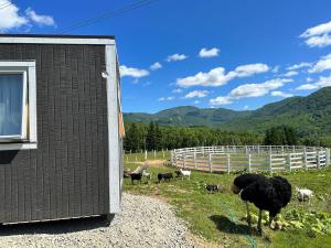 Margos Garden Farmstay, Kiroro