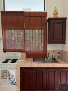 Mariposa End Unit Loft