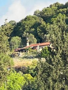 Despina country retreat - Ubytování bez kategorie ve městě Pafos