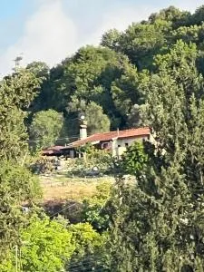 Despina country retreat - Amargeti