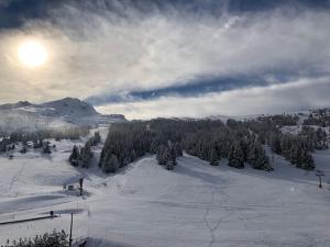 Appartements Terrasse Sud - Vue sur pistes - Refait a neuf 511 : photos des chambres