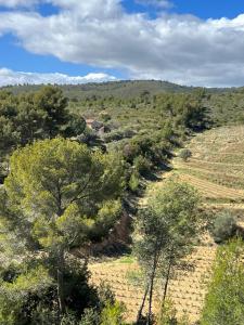 Villas La Villa Douce, entre terre et mer : photos des chambres