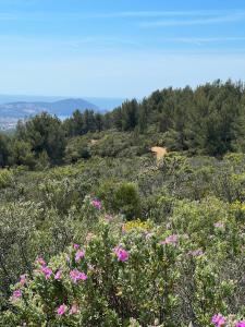 Villas La Villa Douce, entre terre et mer : photos des chambres