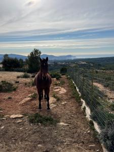 Villas La Villa Douce, entre terre et mer : photos des chambres