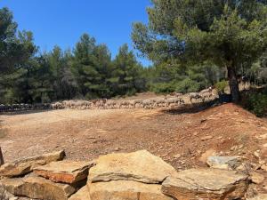 Villas La Villa Douce, entre terre et mer : photos des chambres