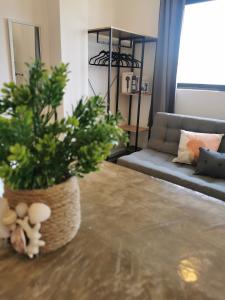 MaaR Estudios 5, a 2 cuadras del Malecón de La Paz