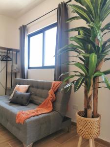 MaaR Estudios 5, a 2 cuadras del Malecón de La Paz