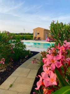 MARIS Apartments & Bedrooms