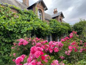 Maisons de vacances Longere typique perche : photos des chambres