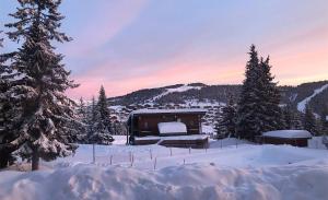 Hotels Belambra Clubs Les Saisies - Les Embrunes - Ski pass included : photos des chambres