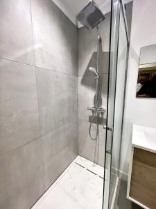 Jade Duplex CLIM Proche Hôpital