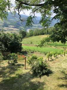 Casa nella natura a Bobbio