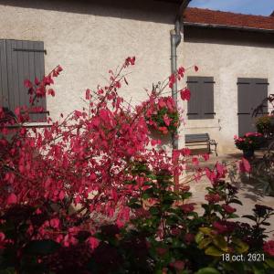 Maisons de vacances Maison aux portes du centre historique de Dijon avec 3 chambres et garage : photos des chambres