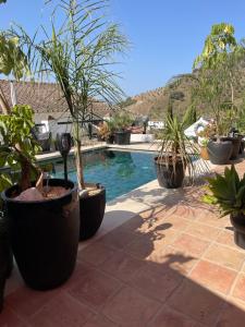 CASITA OASIS - 4hvězdičkové hotely ve městě Pizarra