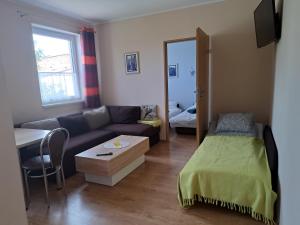 Apartament Borowiacki