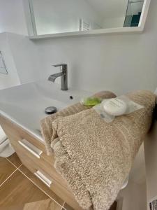 Appartements Le Primevere : photos des chambres