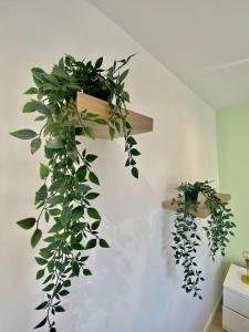 Appartements Le Primevere : photos des chambres