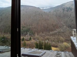 Constellation Loft Colina Marei