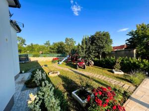 Family Villa Jelena, Cista Provo