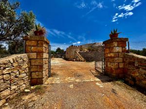 Trulli delle succulente