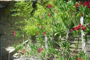 Lou mas li Pitchoun "Le Grenier"