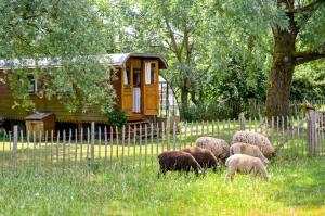 La Roulotte de la Ferme de Froidefontaine