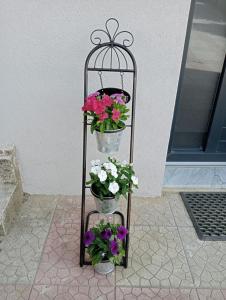 Appartamento Marianna