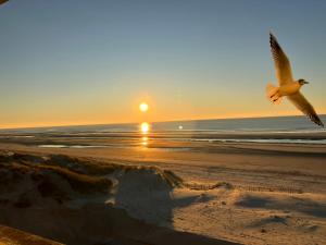 Studio 50 m de la plage 100 m centre ville