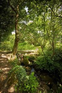 Maisons de vacances Longere Bretonne pres du GR34 : photos des chambres