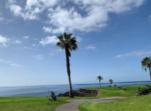 Apartamento Playa y Golf