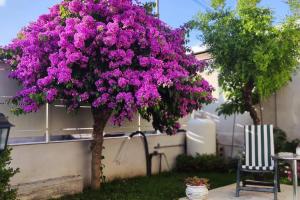 Domus Parva, appartamento con giardino
