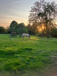 Campings Les soures Bring a tent Camping club : photos des chambres