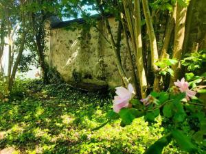 Maisons de vacances Ancienne ferme Chessy : Maison 4 Chambres