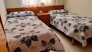 MEDDAYS MIAMI DORADA