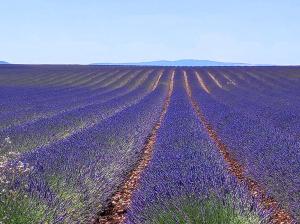 Appartements studio meuble classe 2 etoiles - 30m² : photos des chambres