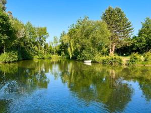 Maisons de vacances Gite du Manoir des Haies : photos des chambres