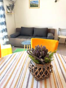 Apartmani ADRIATIC