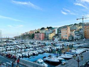 Appartements Bastia appartement face a la mer 100 m : photos des chambres