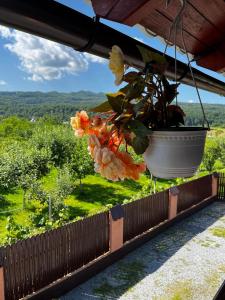 Casa de vacanță Orsi