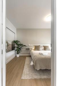 Terraza con vistas al Teide 2