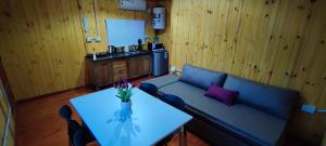 Cabañas Antawara Uspallata