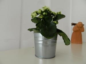 Apartments TERRAeSAL