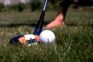 Chalets Charmante maison en bois proche mer : Chalet 2 Chambres